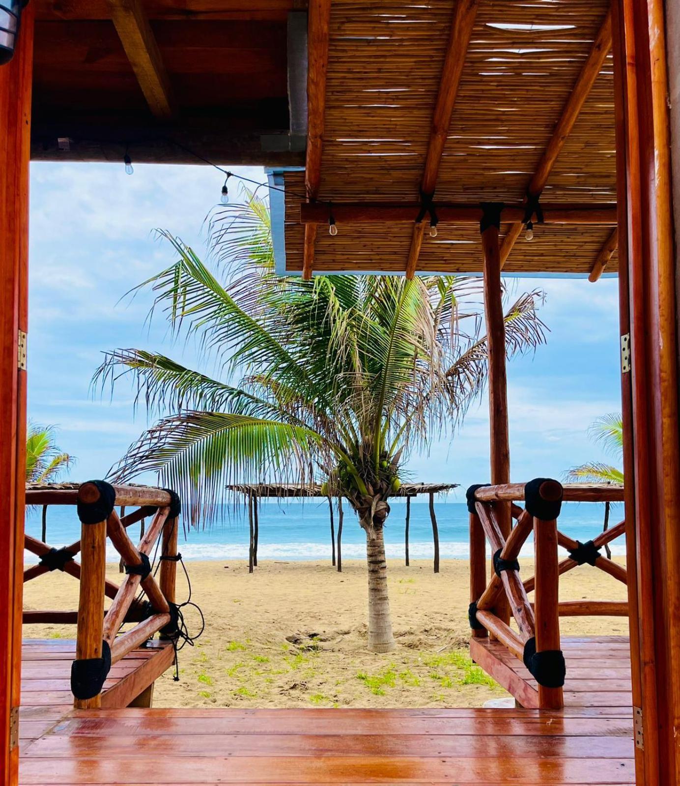 Villa Coco Mare Suite 1 Coyuca de Benitez Zewnętrze zdjęcie